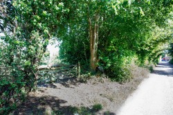 Images for Road Through Fairmile, Fairmile