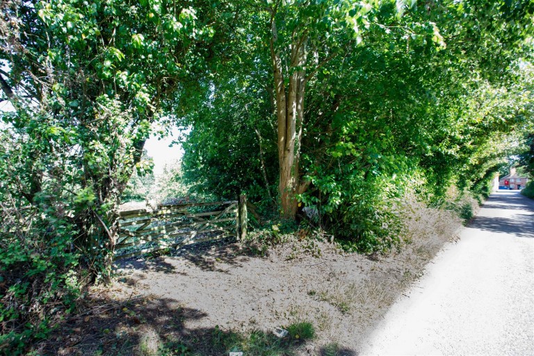 Images for Road Through Fairmile, Fairmile