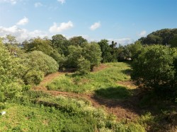 Images for Road Through Fairmile, Fairmile