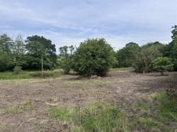 Images for Road Through Fairmile, Fairmile
