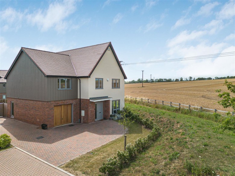 Click the photo for more details of Poppy Field, Steeple Bumpstead, Haverhill
