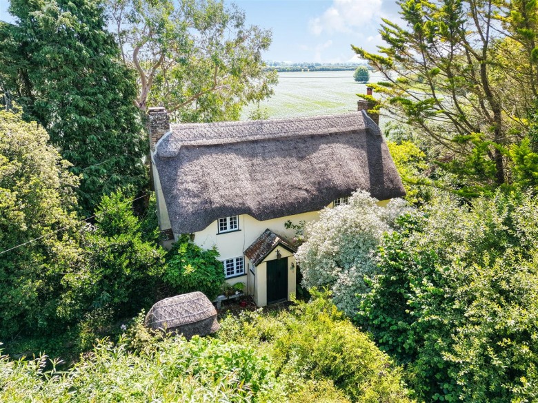 Click the photo for more details of Piccadilly Lane, Shapwick, Blandford Forum