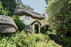Images for Piccadilly Lane, Shapwick, Blandford Forum