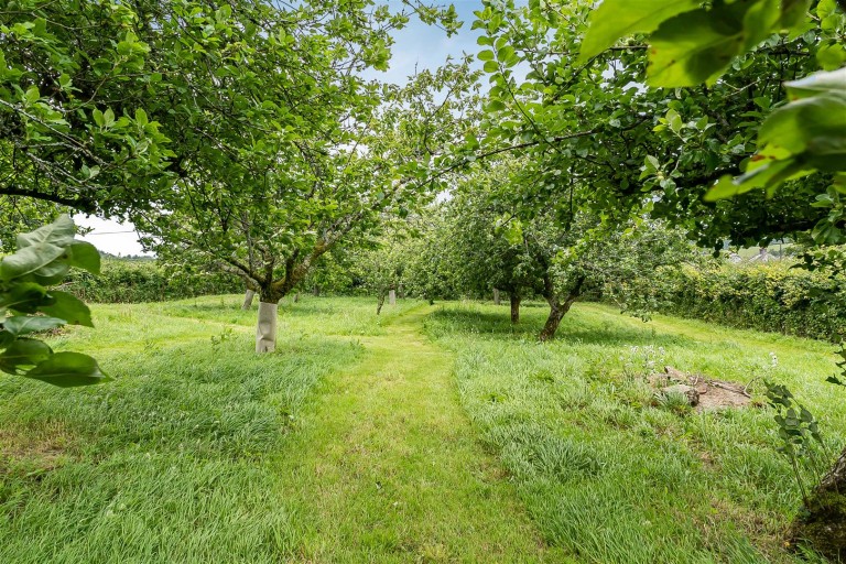 Images for Peter Tavy, West Devon - 4.47 acres