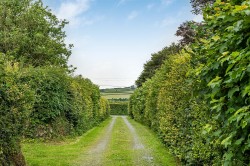 Images for Peter Tavy, West Devon - 4.47 acres