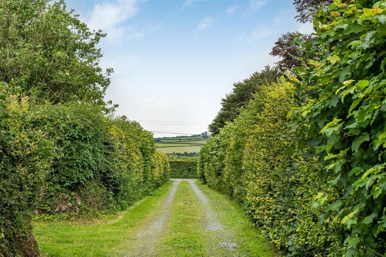 Images for Peter Tavy, West Devon - 4.47 acres