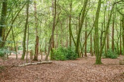 Images for Rushall Lane, Corfe Mullen, Wimborne
