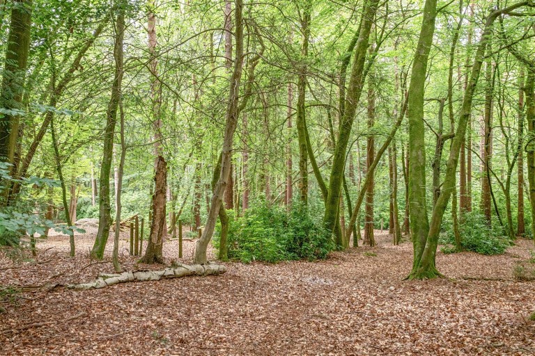 Images for Rushall Lane, Corfe Mullen, Wimborne