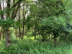 Images for Sandford, Crediton
