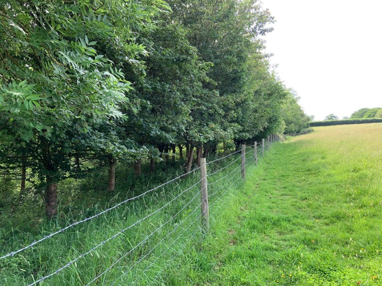 Images for Sandford, Crediton
