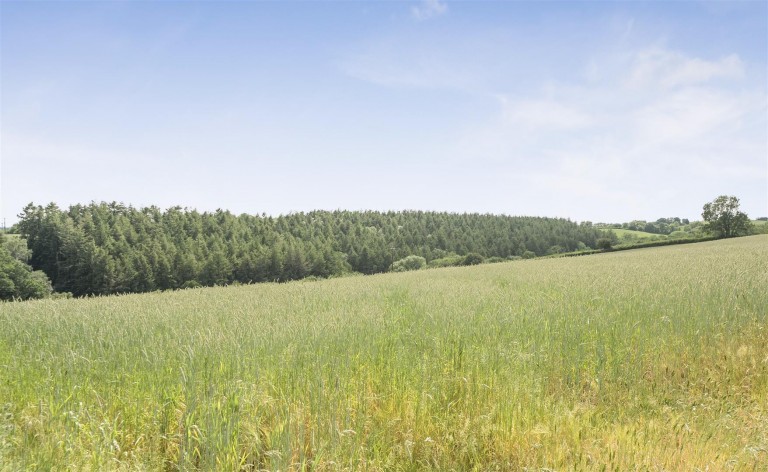 Images for Sandford, Crediton