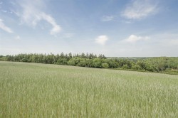 Images for Sandford, Crediton
