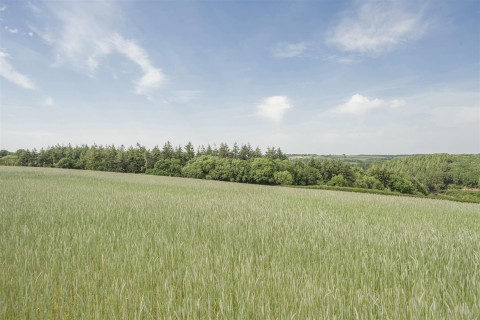 Click the photo for more details of Sandford, Crediton