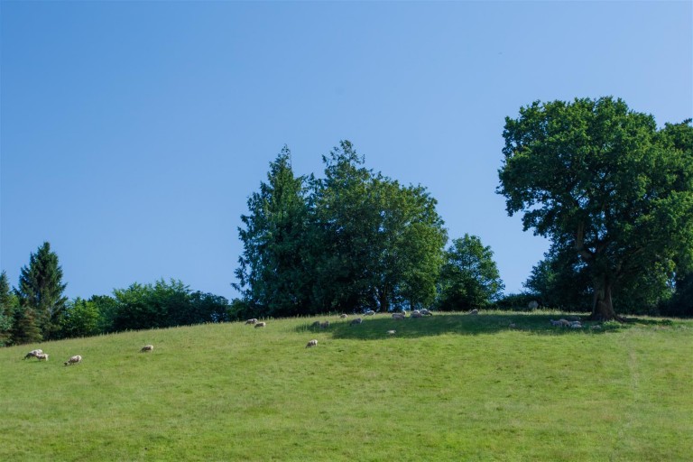 Images for Harpford, Sidmouth