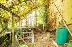 Images for Axminster