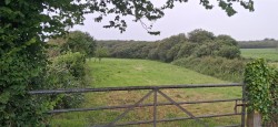 Images for Widemouth Bay, Bude