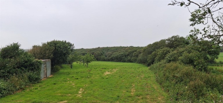 Images for Widemouth Bay, Bude
