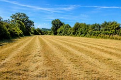 Images for Foldhill Lane, Martock