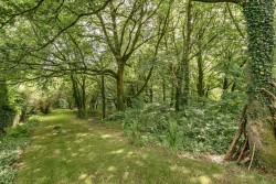 Images for Mary Tavy, Devon - 2.48 acres