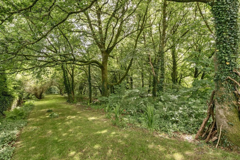Images for Mary Tavy, Devon - 2.48 acres