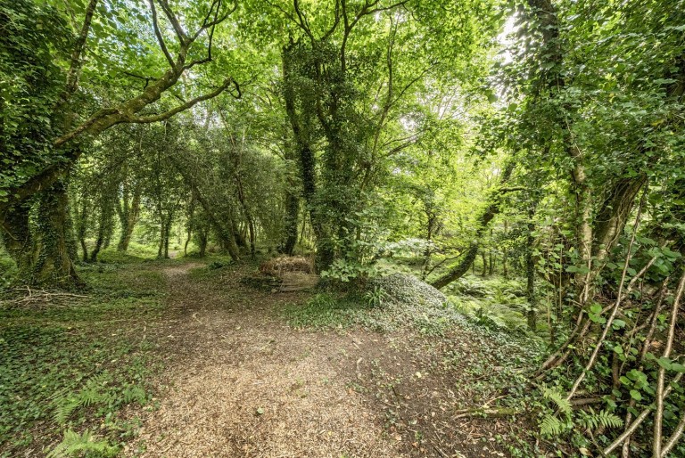 Images for Mary Tavy, Devon - 2.48 acres