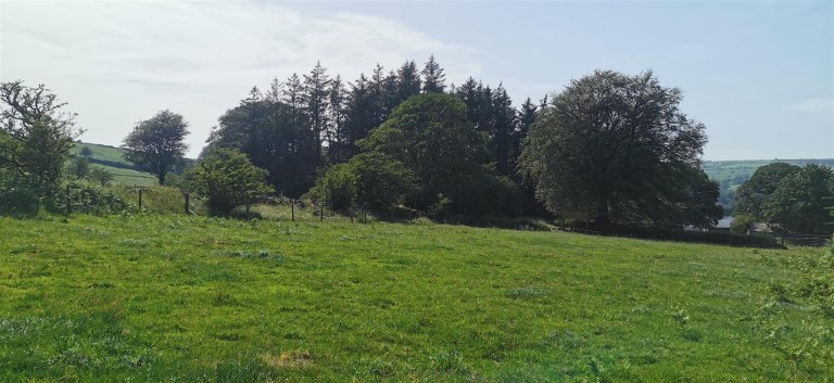 Images for Wapsworthy, near Peter Tavy, West Devon
