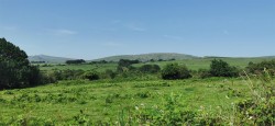 Images for Wapsworthy, near Peter Tavy, West Devon