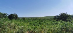 Images for Wapsworthy, near Peter Tavy, West Devon