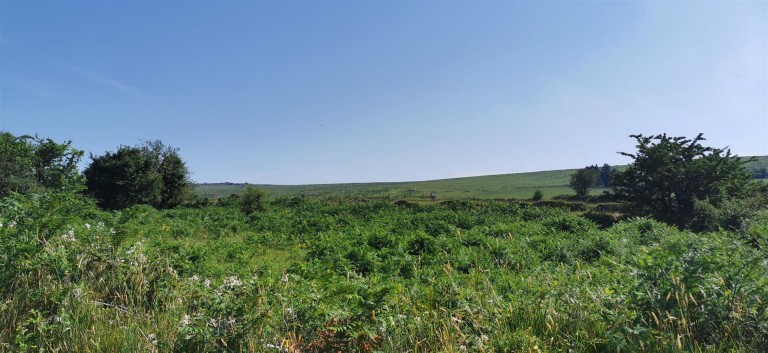 Images for Wapsworthy, near Peter Tavy, West Devon