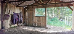 Images for Wapsworthy, near Peter Tavy, West Devon