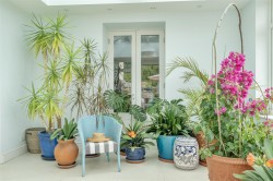 Images for Norton Lane, Durweston