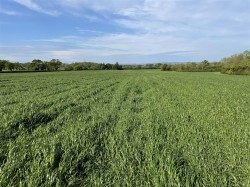 Images for Whimple, Exeter