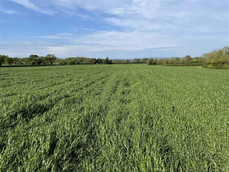 Images for Whimple, Exeter