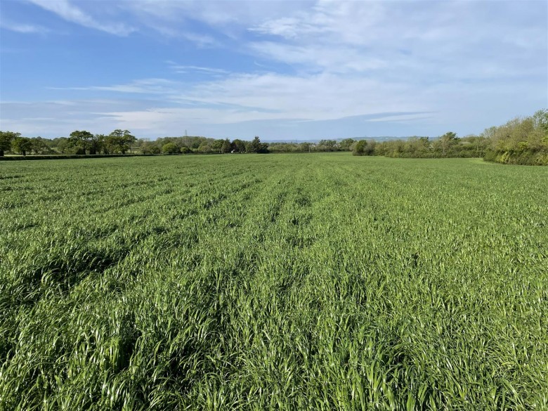 Click the photo for more details of Whimple, Exeter
