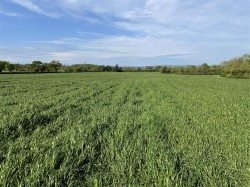 Images for Whimple, Exeter