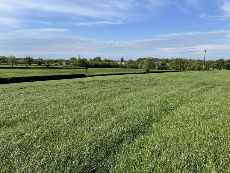 Images for Whimple, Exeter
