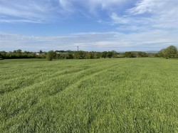 Images for Whimple, Exeter
