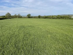 Images for Whimple, Exeter