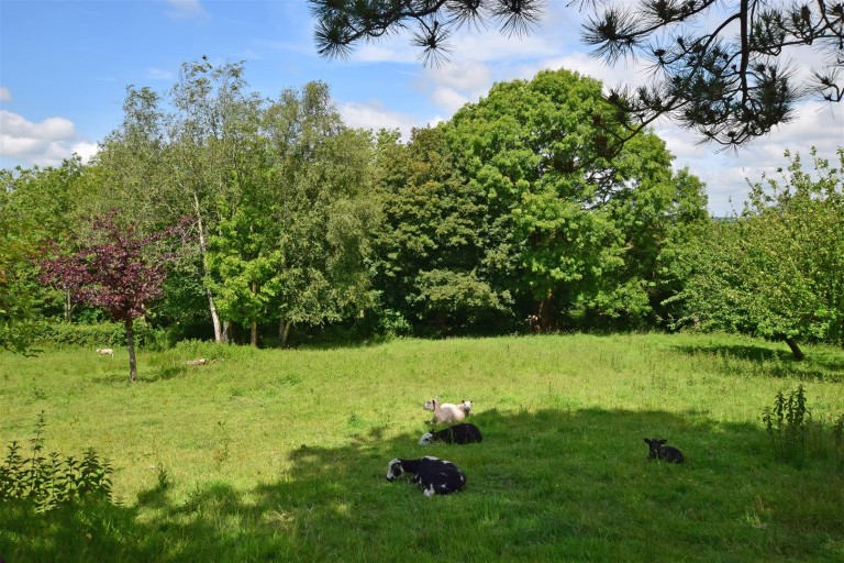 Images for Hawkchurch, Axminster