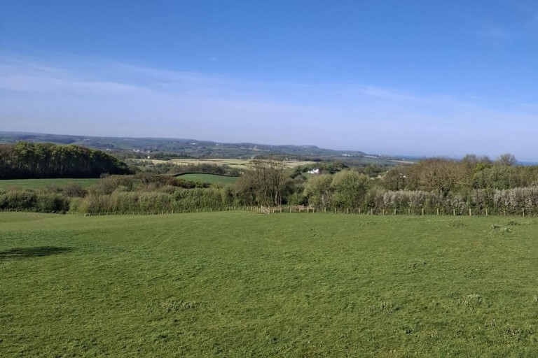 Images for Bridgerule, Holsworthy