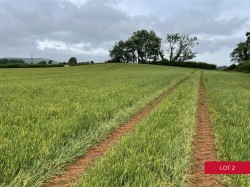 Images for Avonwick, South Brent