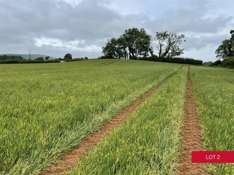 Images for Avonwick, South Brent