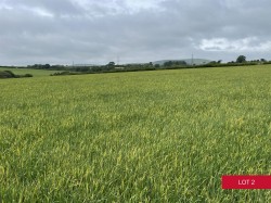 Images for Avonwick, South Brent