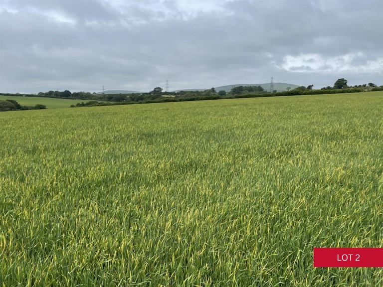Images for Avonwick, South Brent