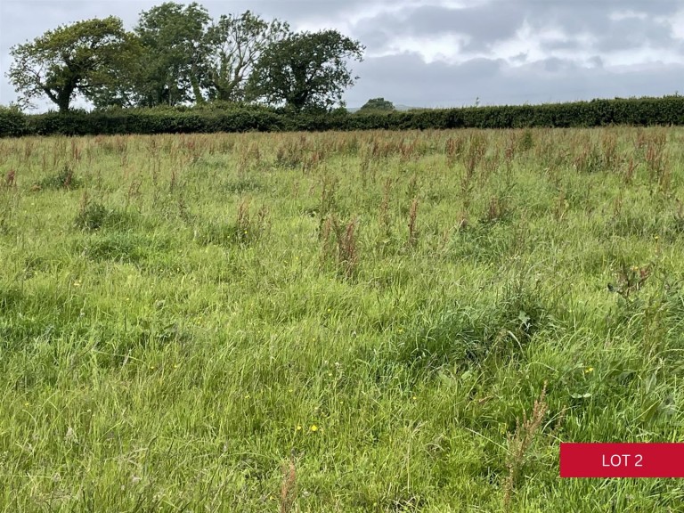 Images for Avonwick, South Brent