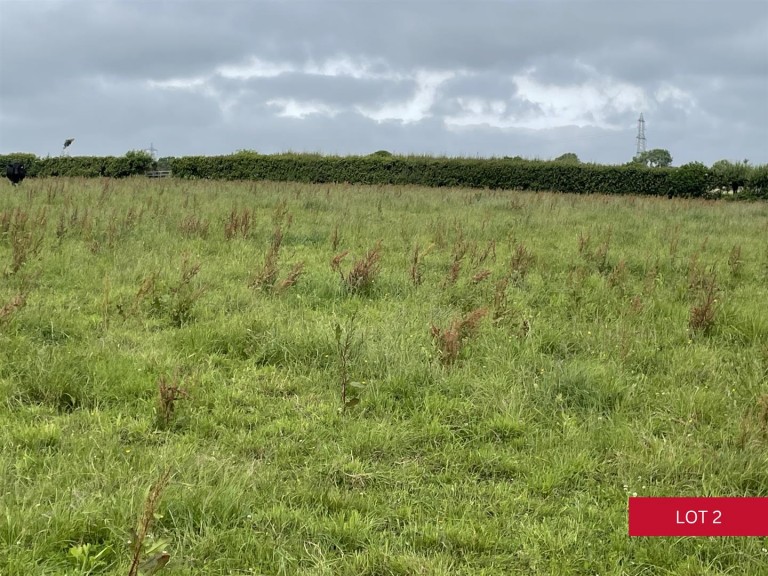 Images for Avonwick, South Brent