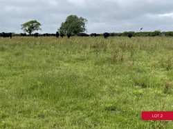 Images for Avonwick, South Brent