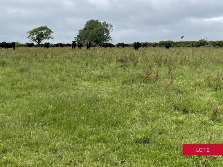 Images for Avonwick, South Brent