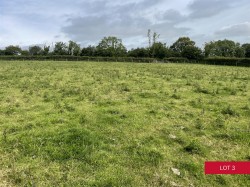 Images for Avonwick, South Brent