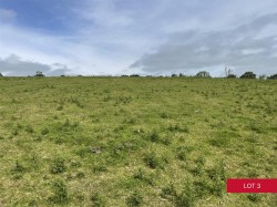 Images for Avonwick, South Brent
